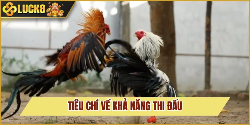 tiêu chí trong đá gà C2